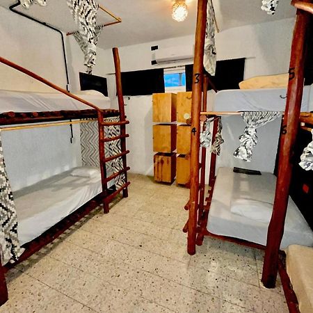 Straw Hat Hostel & Rooftop Bar تولوم المظهر الخارجي الصورة