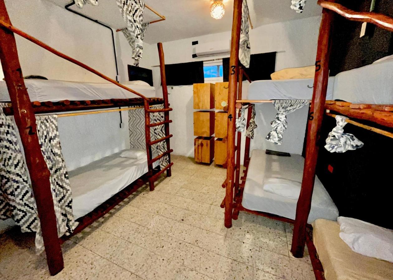 Straw Hat Hostel & Rooftop Bar تولوم المظهر الخارجي الصورة